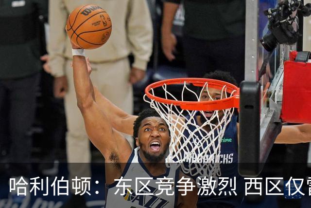 哈利伯顿：东区竞争激烈 西区仅雷霆与马刺有希望